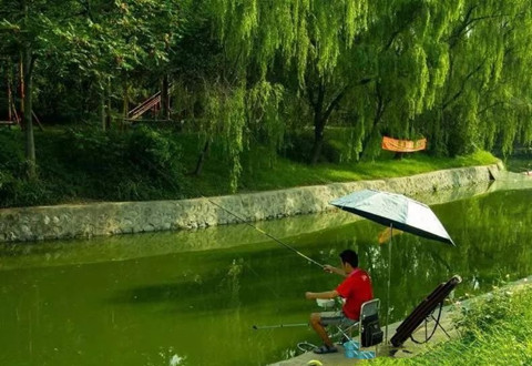 钓鱼小药不能乱用,可这几种情况不用又不行