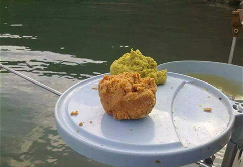 钓鱼时,饵料状态如何根据鱼情转变?