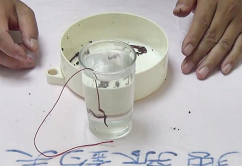 蚯蚓钓鱼 能不能使用蘸饵诱鱼 [视频]
