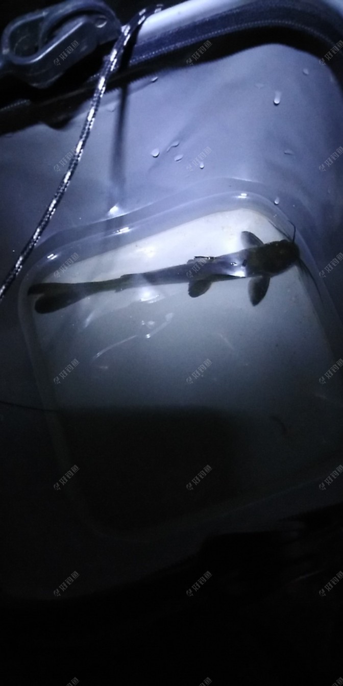 有人欢喜有人愁,有人狂拔有人走