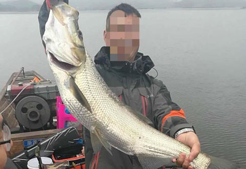 泥鳅打窝钓野生大白鱼，却被抓面临牢狱之灾