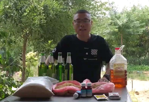 瑶哥钓鱼 自制发酵玉米窝料 守钓大草鱼鲤鱼必备 [视频]