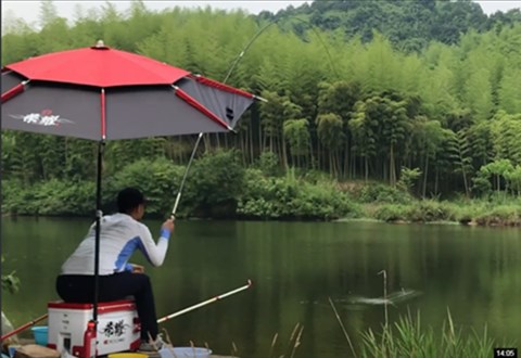户外老曹 钓鱼实战 夏季怎么才能钓好鲫鱼 [视频]