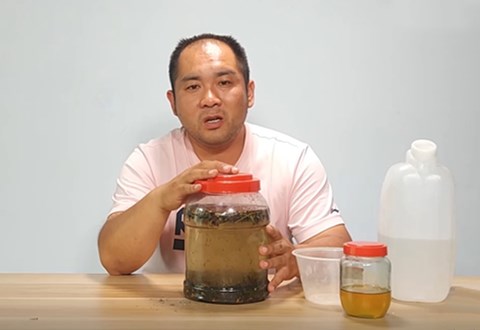 鱼饵君 夏季钓草鱼 玉米加秘制药酒 [视频]