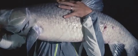 韬哥钓鱼 夏天高温作钓经常空军 看大叔如何应对 [视频]