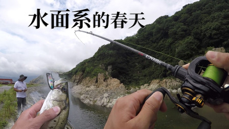 江南路亚日记 水面系的春天 路亚水沟里的小海鲈 [视频]