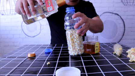 钓鱼维 秘制嫩玉米制作方法，钓鲤鱼草鱼好用 [视频]
