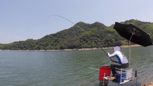 白条杀手 游钓响洪甸，守钓三天黑漂中鱼 [视频]