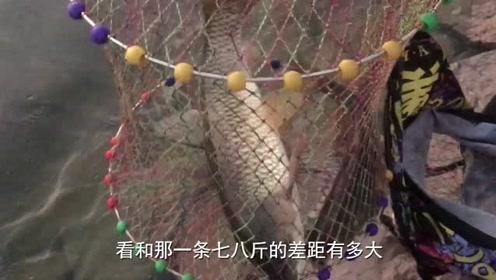 宝峰钓鱼 大玉米粒钓大鱼效果 钓到草鱼 [视频]