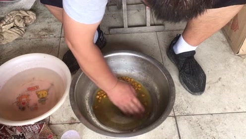 宝峰钓鱼 分享秋季野钓鲤鱼饵料配方 既简单又实用 [视频]