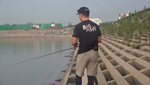 上校路亚 单日百尾？碧海金沙西塘路亚海鲈 [视频]