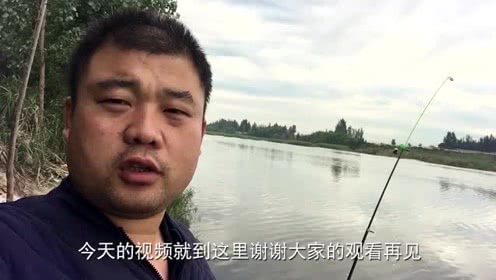 宝峰钓鱼 用抛竿钓野河，钓鲫鱼和大鲶鱼 [视频]