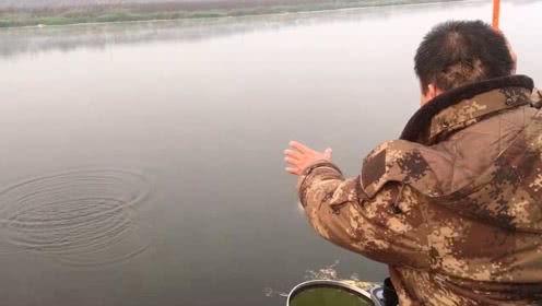 宝峰钓鱼 秋季钓大鲫鱼，用蚯蚓怎么样挂钩垂钓效果好 [视频]