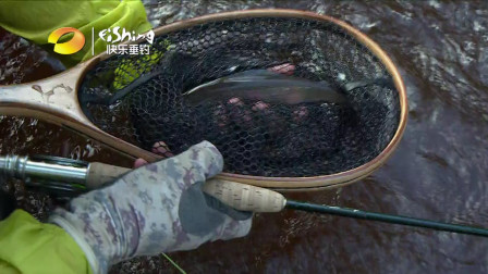 飞蝇玩家：飞蝇走东北（一）20191001 [视频]