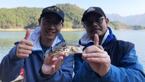 户外老曹 老曹和白条杀手两位好钓友齐聚千岛湖 [视频]