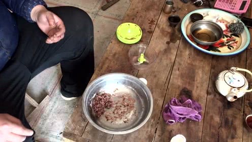 宝峰钓鱼 用蚯蚓如何制作拉饵？分享制作方法 [视频]
