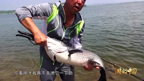 李大毛钓鱼 打下的窝子爆发后，连竿青鱼到手软 [视频]