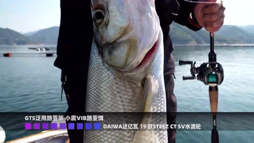 EWE路亚 广西红水河挑战梦幻级大翘嘴 [视频]