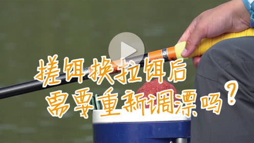 白条论钓 搓饵换拉饵后，需要重新调漂吗 [视频]