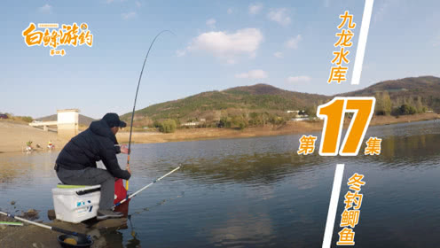 白条杀手 九龙水库寒冬变换钓法 连杆野生鲫鱼 [视频]