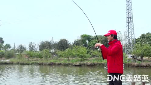 DNE去路亚 少杰体验广东合益海鲈欢乐塘 [视频]