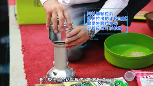 化绍新钓鱼技巧 简单又实用的小鲫鱼拉饵制作 [视频]