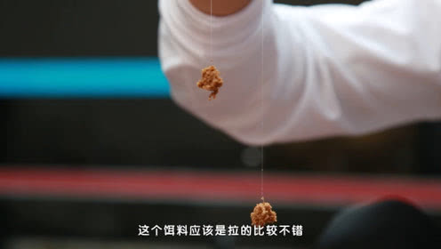 王超钓鱼 没有拉丝粉的饵料，如何制作拉饵 [视频]