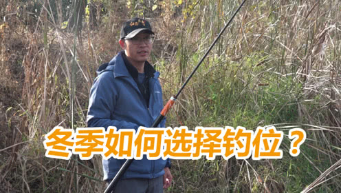 白条论钓 冬季作钓找鱼是关键 如何选择适合的钓位 [视频]