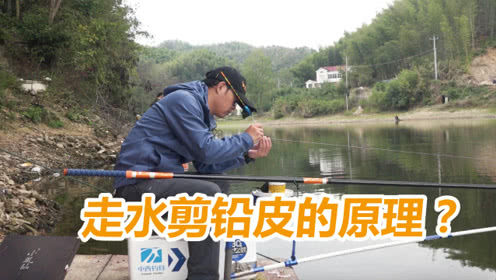 白条论钓 野钓防走水，剪铅皮的作用很有效 [视频]