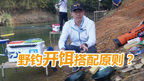 白条论钓 野钓饵料搭配技巧，学会了，不花冤枉钱 [视频]