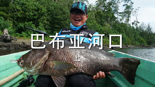 小汐路亚 巴布亚河口-上 挑战怪物黑鲈和金目鲈 [视频]
