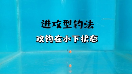 程宁钓鱼：现场演示进攻型钓法双钩在水下状态 [视频]