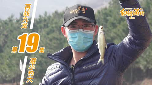 白条杀手 再战九龙水库 避开白条鲢鳙直击底部鲫鱼 [视频]