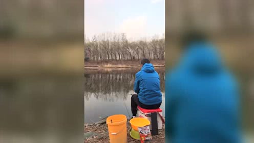 陪着地瓜去钓鱼 继续野钓小鲫鱼 上 [视频]