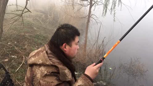 宝峰钓鱼 小线组垂钓鲫鱼连杆不断钓到手软 [视频]