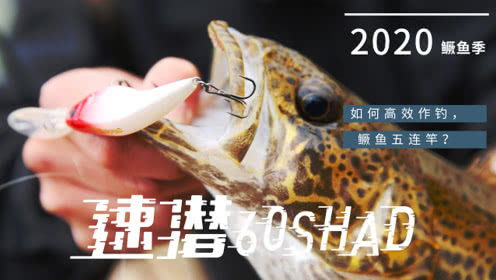 DNE去路亚 障碍作钓鳜鱼经典教学，鳜鱼五连杆 [视频]
