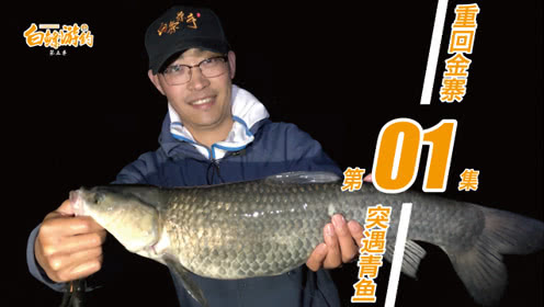 白条杀手 金寨青风岭水库 坚守夜钓终遇青鱼 [视频]