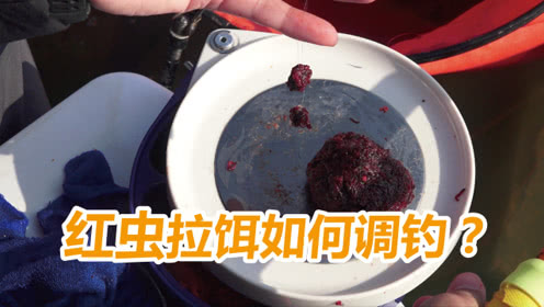 白条论钓 拉饵或红虫作钓时，如何调钓？ [视频]
