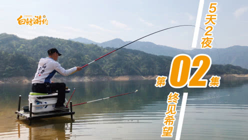 白条杀手 奔波几百公里，坚守5天2夜，终见希望 [视频]