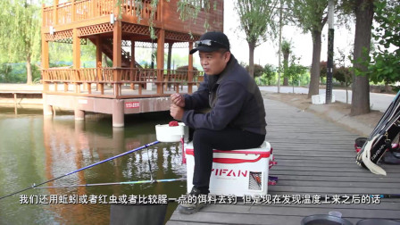 渔课堂 天热之后再钓鲫鱼，请一定注意以下3点 [视频]