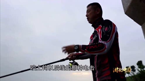 李大毛钓鱼 早就听说这里出了80斤大鳡鱼 [视频]