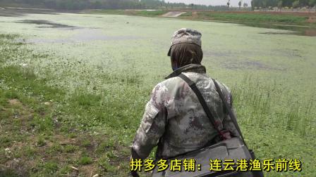 三本先生 点钓黑鱼，河道点钓黑鱼 [视频]