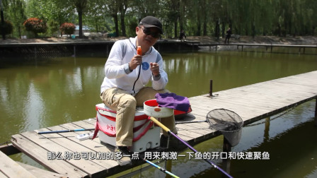 渔课堂 老钓手教你小药用量如何把握 [视频]