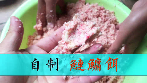 户外老曹 老曹自己动手做鲢鳙饵，便宜又好用 [视频]