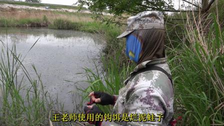 三本先生 点钓黑鱼，抓捕十五黑子 [视频]