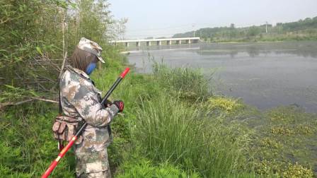三本先生 点钓黑鱼 河道点钓黑鱼、一 [视频]