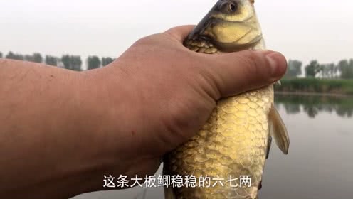宝峰钓鱼 宝峰用奶香味的饵料钓野河 [视频]