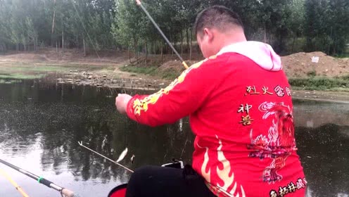 宝峰钓鱼 分享钓野库如何垂钓白条，翘嘴，小鲫鱼 [视频]