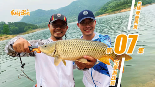白条杀手  白鲦老曹游钓花亭湖，鱼情超乎预期 [视频]