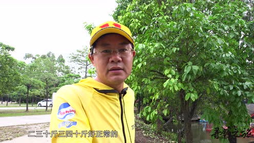 寻钓之旅 粤晖园野钓土鲮鱼 [视频]